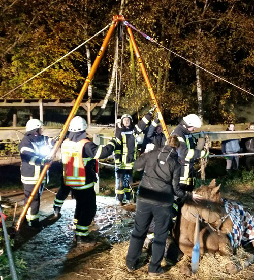 Tierrettung mit Zweibein