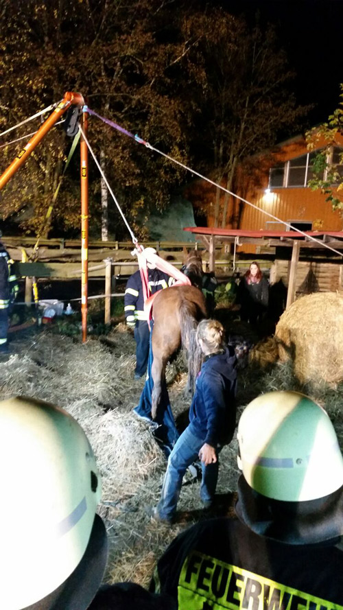 Tierrettung mit Paratech Zweibein