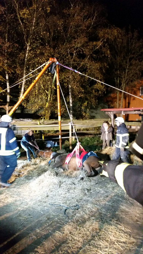 Tierrettung mit Paratech ZWeibein